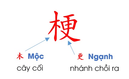 Ngành họ Mai Đại tộc